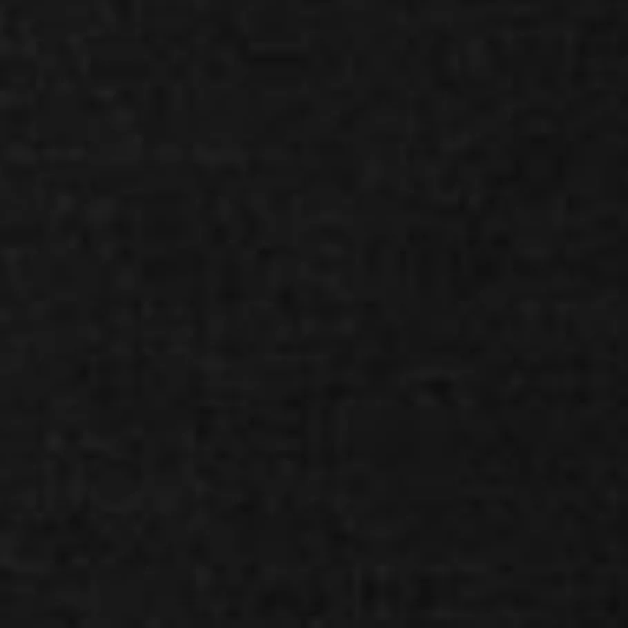 Outlet Chester T-Shirt | Sort Kvinder T-Shirts