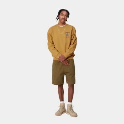 Store Smart Sports Sweatshirt | Solstrale Mænd Sveder